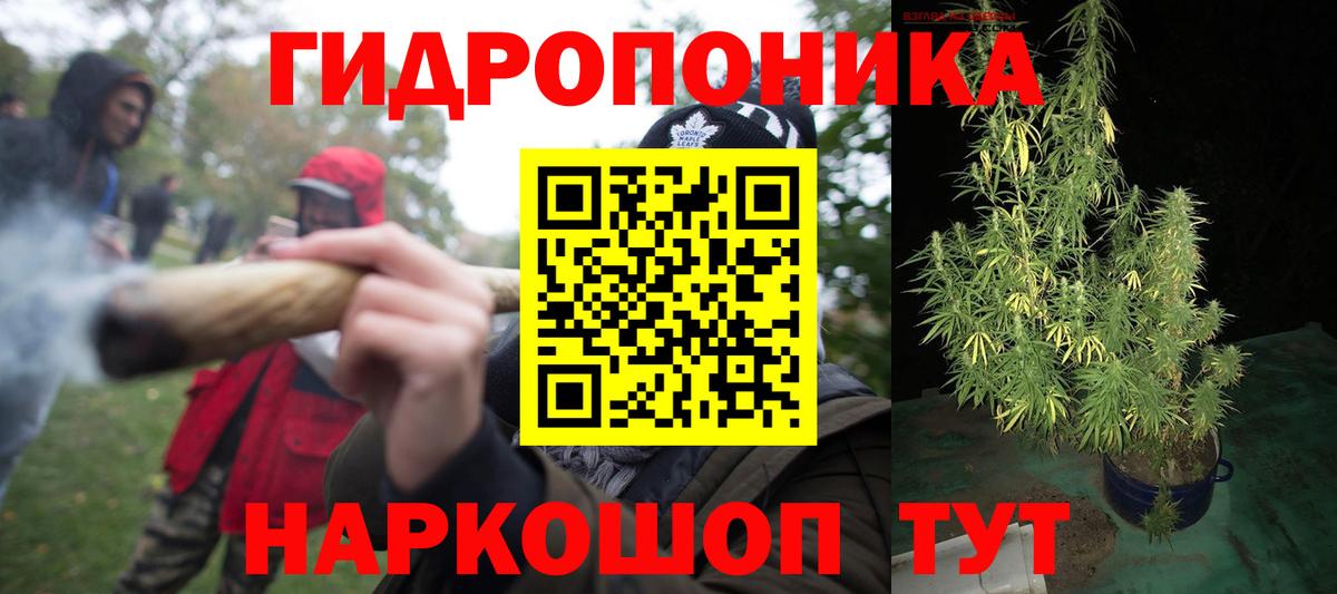 Бошки Шишки тримм Лобня